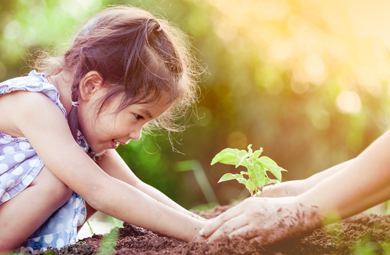 Educação ambiental e sustentabilidade: cultivando a sensibilidade ecológica nos estudantes