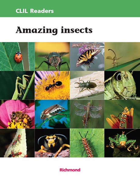 Amazing_Insects_g