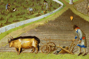O senhorio medieval